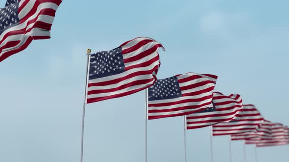 United States Row Of Flags 