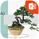 Bonsai Tree & Garden Powerpoint Template - GraphicRiver Item for Sale