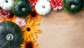 Various colourful pumpkins and flowers. Autumn harvest concept. - PhotoDune Item for Sale