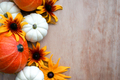 Various colourful pumpkins and flowers. Autumn harvest concept. - PhotoDune Item for Sale