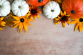 Various colourful pumpkins and flowers. Autumn harvest concept. - PhotoDune Item for Sale