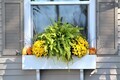 Home exterior Fall decoration window box - PhotoDune Item for Sale