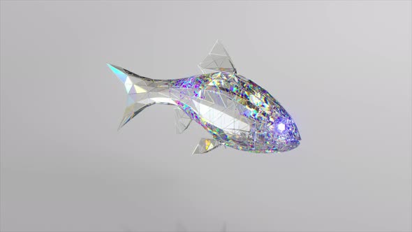 Swimming Diamond Fish