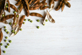 Soy is a source of plant based protein. - PhotoDune Item for Sale