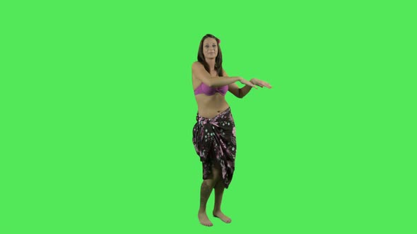 hawaii hula dancer 