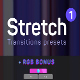 Stretch Transitions Presets 1 - VideoHive Item for Sale