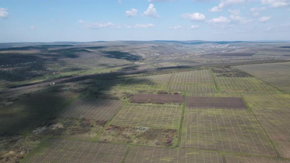 Aerial View of Agricultural Fields