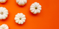 Halloween flat lay composition of black  bats and pumpkins on orange background. Halloween concept. - PhotoDune Item for Sale