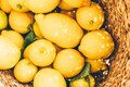 Fresh lemons in the basket - PhotoDune Item for Sale