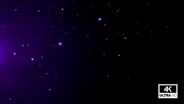 Purple Particles Ember Slowly Flying V14