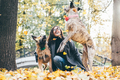 Woman playing with dog in sunny autumn park. - PhotoDune Item for Sale