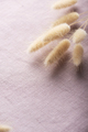 Dry Lagurus ovatus on the lilac linen fabric - PhotoDune Item for Sale