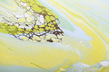 Fluid acrylic painting in green and yellow colors - PhotoDune Item for Sale