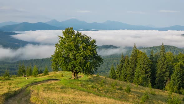 Misty Morning in the Mountains