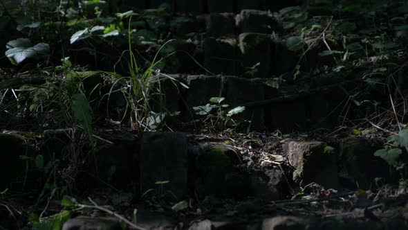 Dark forest staircase made of bricks 4K 2160p UHD footage - Brick stairway made through forest hill 