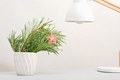 pine tree branch in white vase on table top next to desk lamp. minimal christmas home decor - PhotoDune Item for Sale