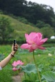 Take a picture of a lotus - PhotoDune Item for Sale