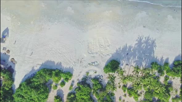 Drone Flies From Palms on Sandy Coast To Blue Sea Surf