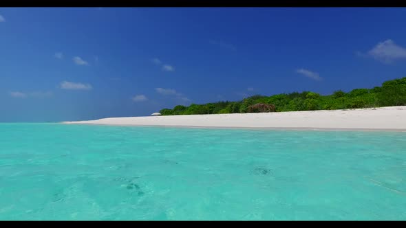 Aerial flying over scenery of tranquil tourist beach wildlife by transparent water with white sandy 