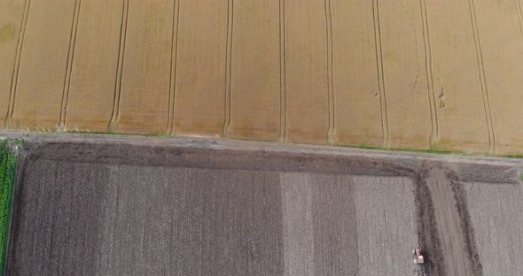 Agricultural Tractor Plowing Soil Surrounded By Corn And Wheat Fields At The Farmland