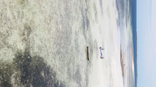 Zanzibar Tanzania  Vertical Video of Low Tide in the Ocean Near the Coast Slow Motion