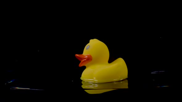 Rubber Duck Float on the Surface of the Water on a Black Background