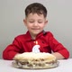 Happy Little Kid Boy Celebrating His Birthday and Blowing Candles on Homemade Baked Cake, Indoor. - VideoHive Item for Sale