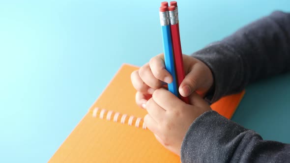 Child Girl Holding Many Color Pencils