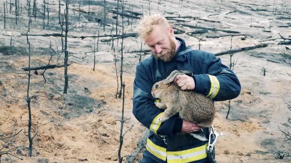 Fireman is Stroking a Rescued Wild Rabbit