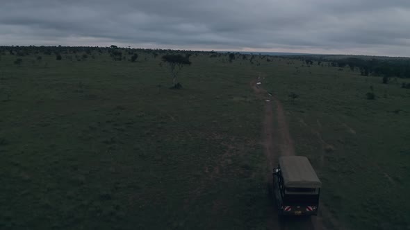 Safari game drive at dawn in Laikipia, Kenya, Africa. Aerial drone view follow