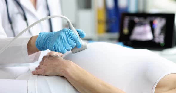 An Obstetrician Makes an Ultrasound Scan of a Pregnant Woman