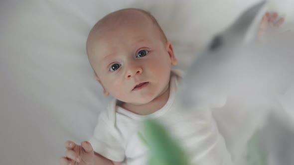 Adorable Baby Boy Lying in Bed with Soft Toys