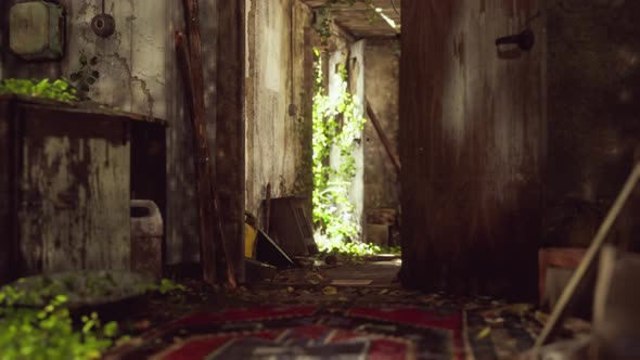 Ruined Abandoned Overgrown By Plants Interior alt