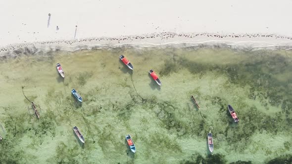 Vertical Video Boats in the Ocean Near the Coast of Zanzibar Tanzania Aerial View