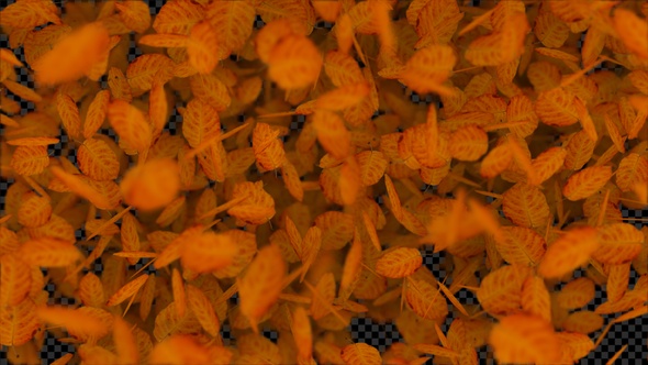 Autumn Leaves Transition Pack 2 alt