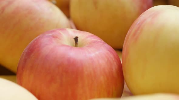 Slow pan over organic fresh  apple pile close-up 4K 2160p UHD footage - Background made of Malus pum