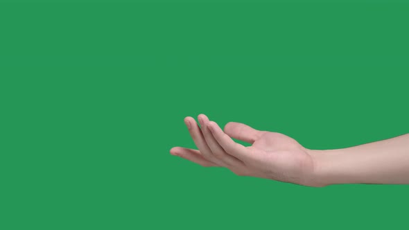 Love Couple Hands Connecting on Green Screen