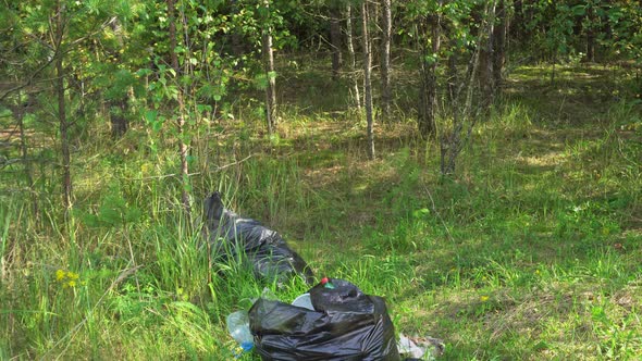 Garbage in Black Bags Lying in the Forest Environmental Pollution Tourists Left Garbage in a Forest