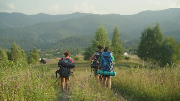 Multiracial Hikers with Backpacks and Trekking Poles Walking Down From Mountain Hill