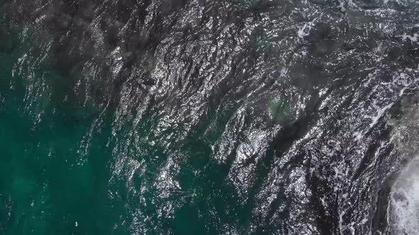 Top-down view of the ocean waves and foam, sea turtles swim in the water (Kauai, Hawaii, USA)