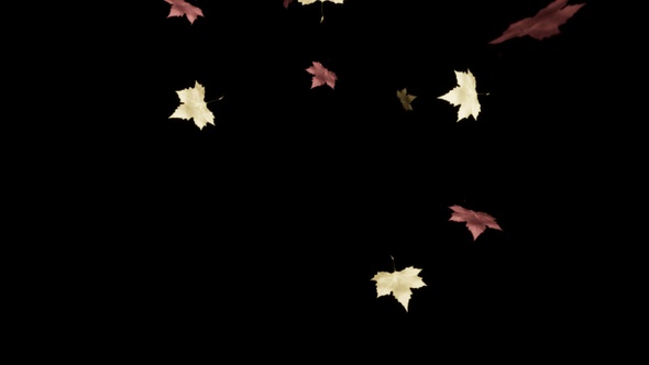 Leaves fall in the fall with alpha channel (transparent background)