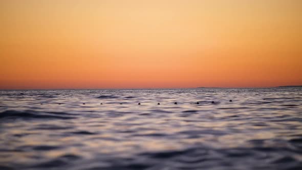 A seascape during sunset. Waves as a backdrop. Summer. Rest and relaxation.