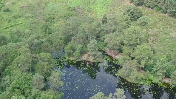 Aerial Pan over a secret woodland pond in Devon, UK, STATIC CROP