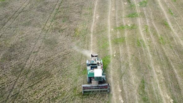 Aerial view of a green vintage combine harvester mows wheat in the field for the food industry, yell