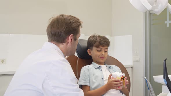 Mature Dentist Smiling To the Camera While Working with Adorable Little Boy