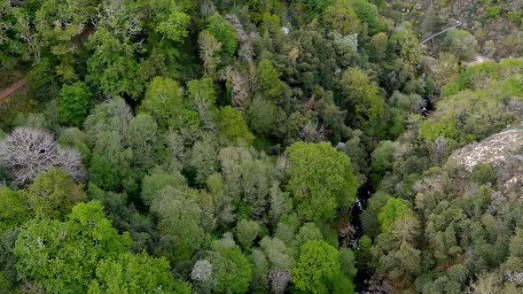 Aerial Flying Over Forest Tree Tops Near Fervenza do Toxa Waterfalls. Dolly Right