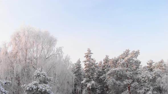 Drone flying between trees in snowy weather