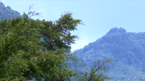 nice scenery with a tree on foreground and far away is a mountain