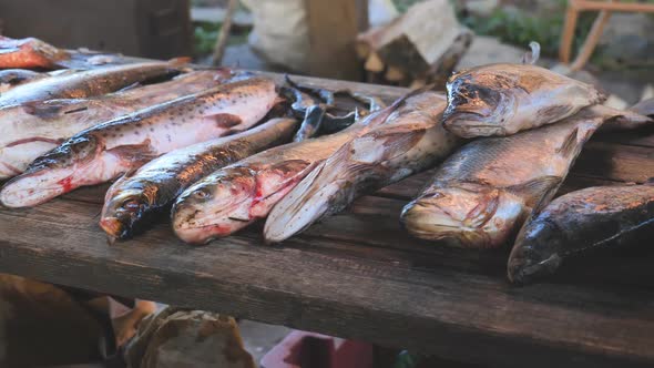 A Variety of River Fish From the Amur River on the Fisherman's Table