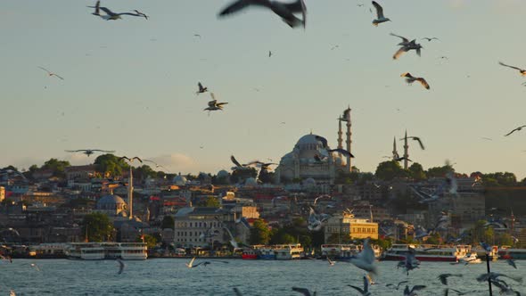 View of Hagia Sophia in Turkey